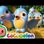 Cocomelon – Nursery Rhymes